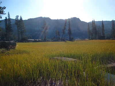 Vedic Astrology, Karma & Transformation - {produc_type} - James Kelleher Astrology